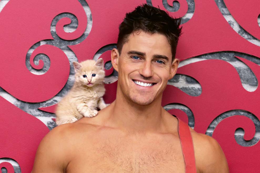 Australian Cat Calendar