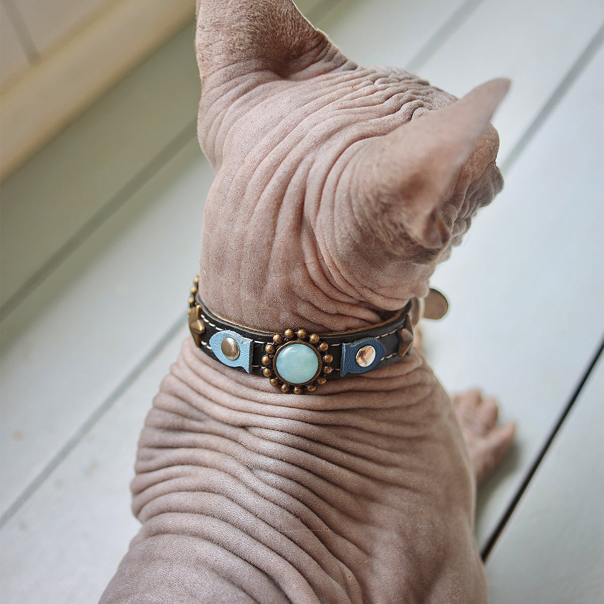 Luxury Leather Blue Cat Collars Handmade in Spain