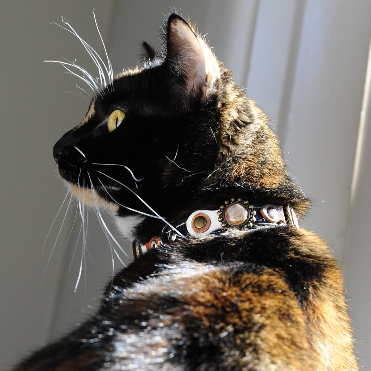 Superpipapo Luxury Leather Cat Collar, In Black & Brown With Studs, Earth Stones & Fish-Shaped Patches | at Made Moggie