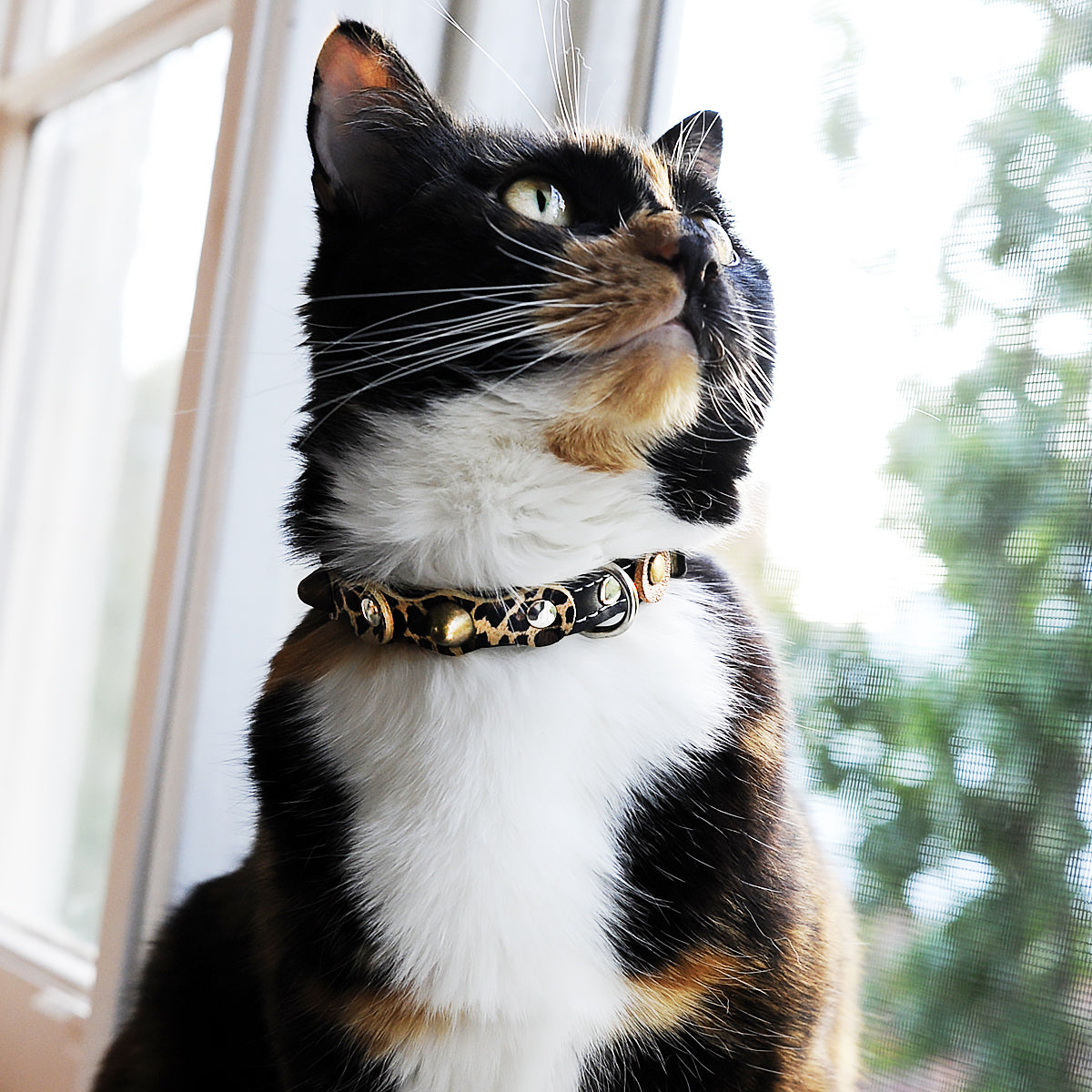 Superpipapo Collar For Cat, In Black Leather With Studs, Spikes & Leopard-Print Patches | at Made Moggie