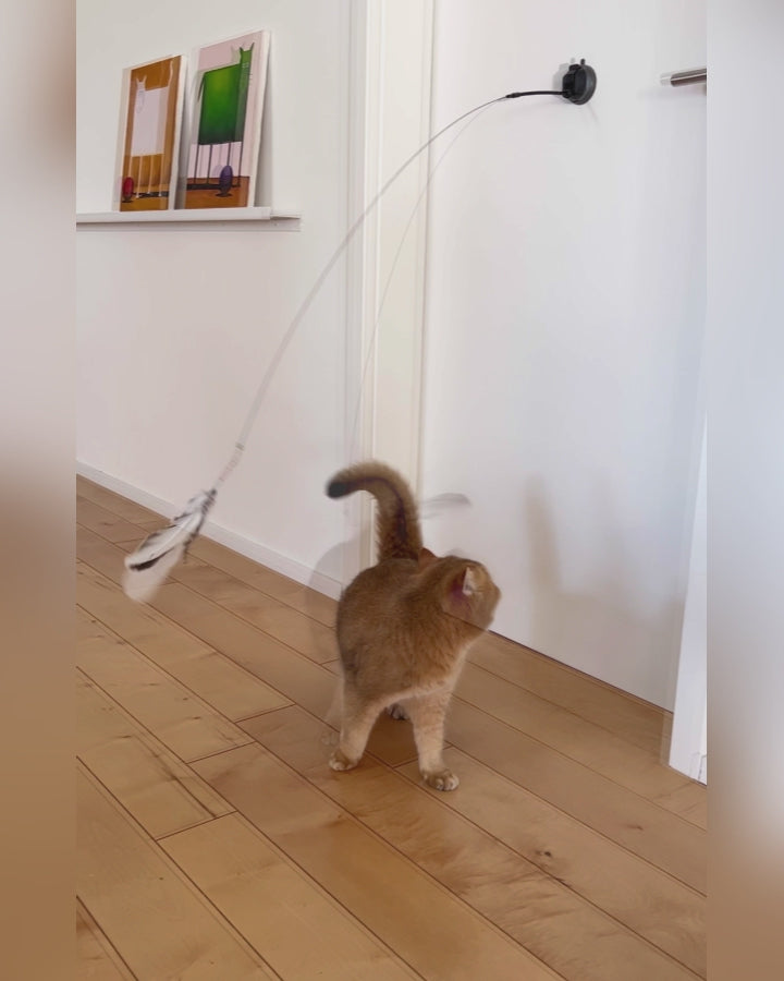 Profeline Natural Cat Toy, Turkey Feather Refill For Cat Wands | at Made Moggie