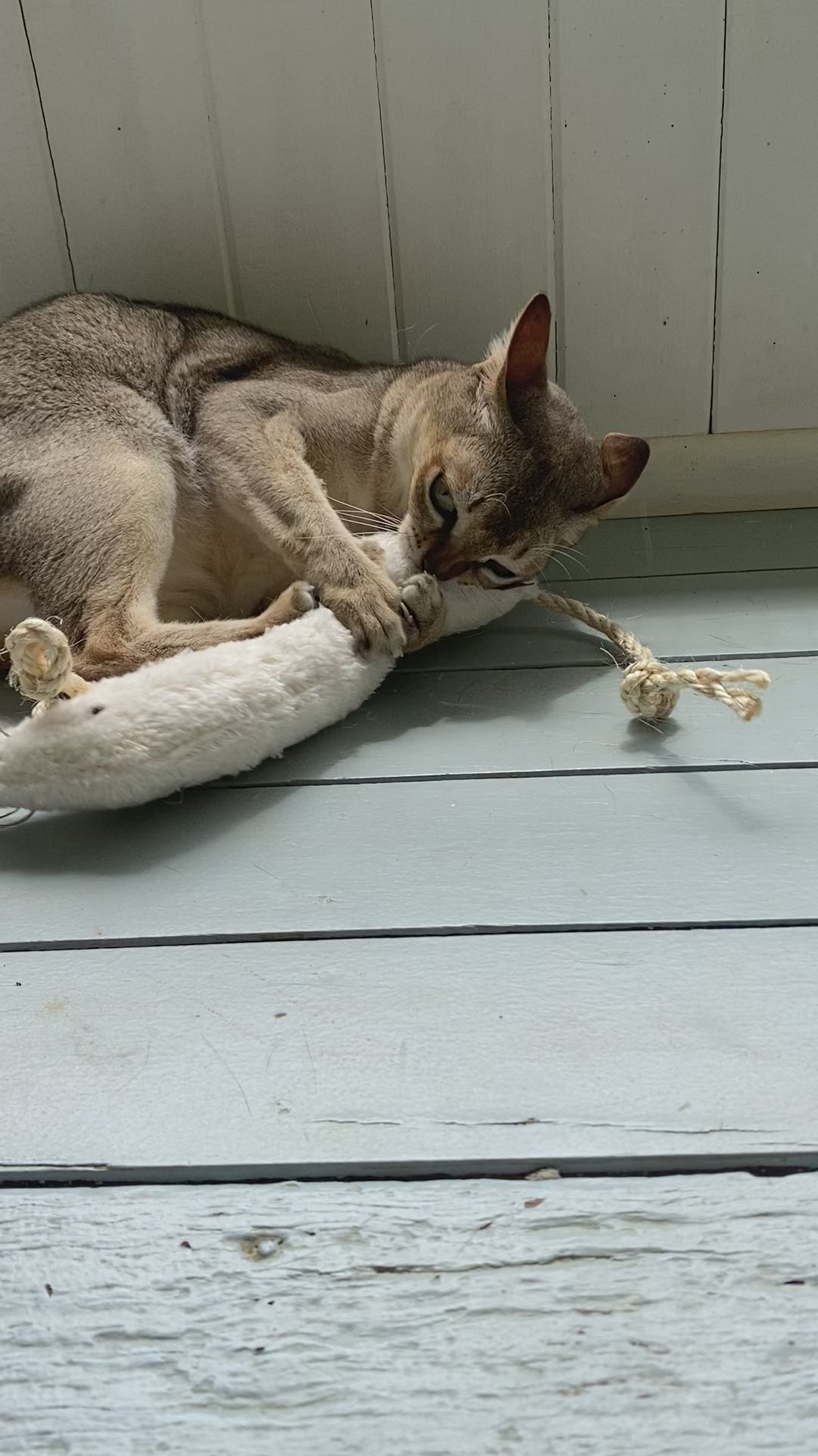 Profeline Large Cat Toy, Catnip Weasel Kicker In White | at Made Moggie