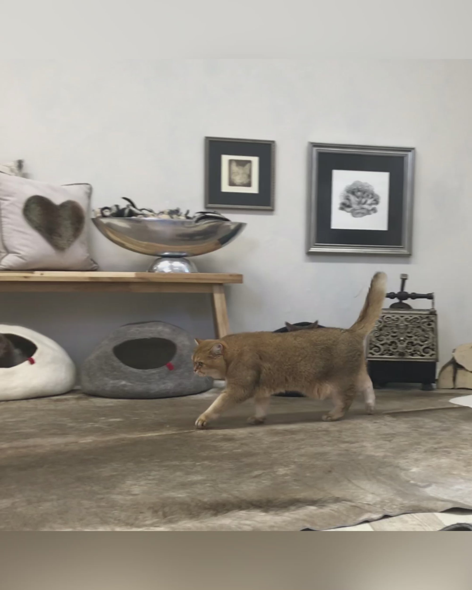 Profeline Modern Wool Felt Cat Cave Bed | at Made Moggie