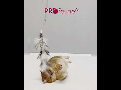 Profeline Handmade Feather Cat Toy, Ostrich Refill In Black & White | at Made Moggie Australia.