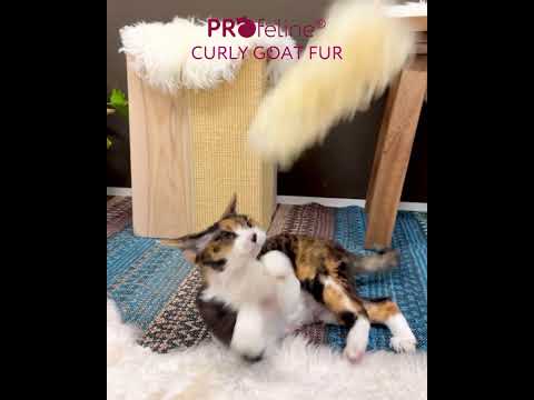 Profeline Curly Goat Fur Cat Toy, Natural Fur Pendant For Cat Wands | at Made Moggie