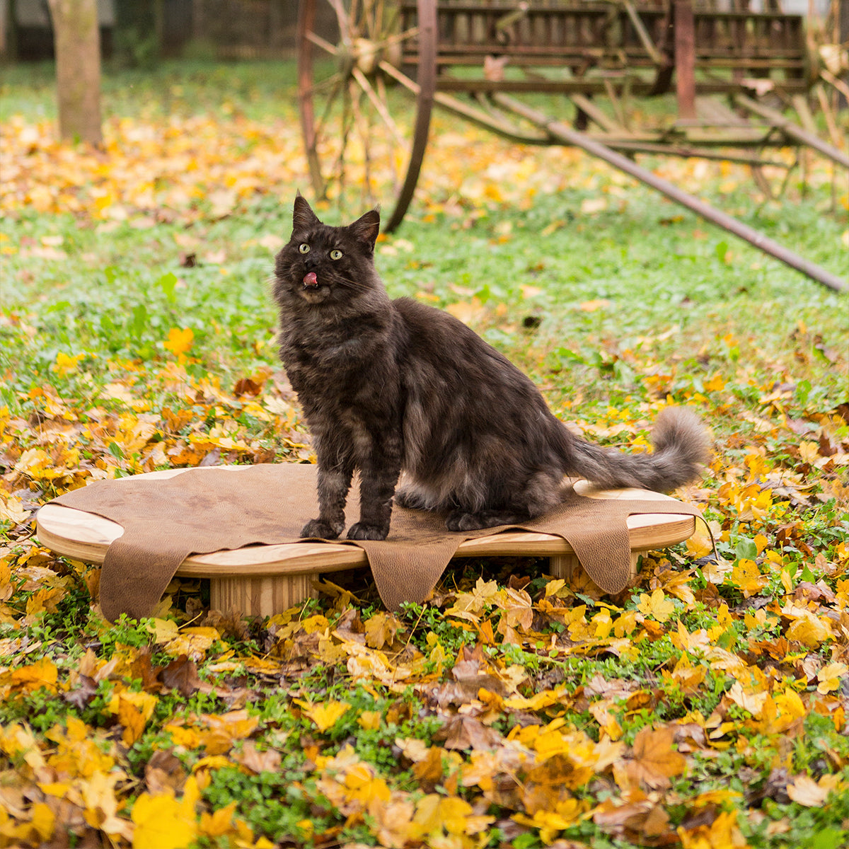 Brandodesign Luxury Cat Bed With Wood Base & Leather Cover | at Made Moggie