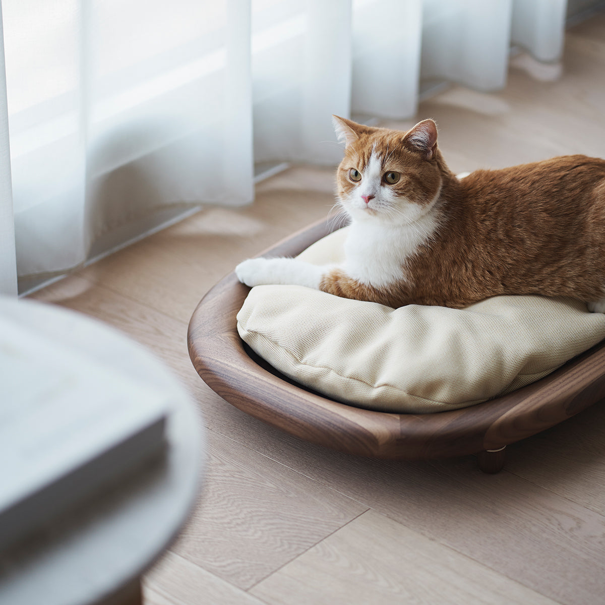Karimoku Cat Designer Cat Bed, With Raised Walnut Wood Frame | at Made Moggie