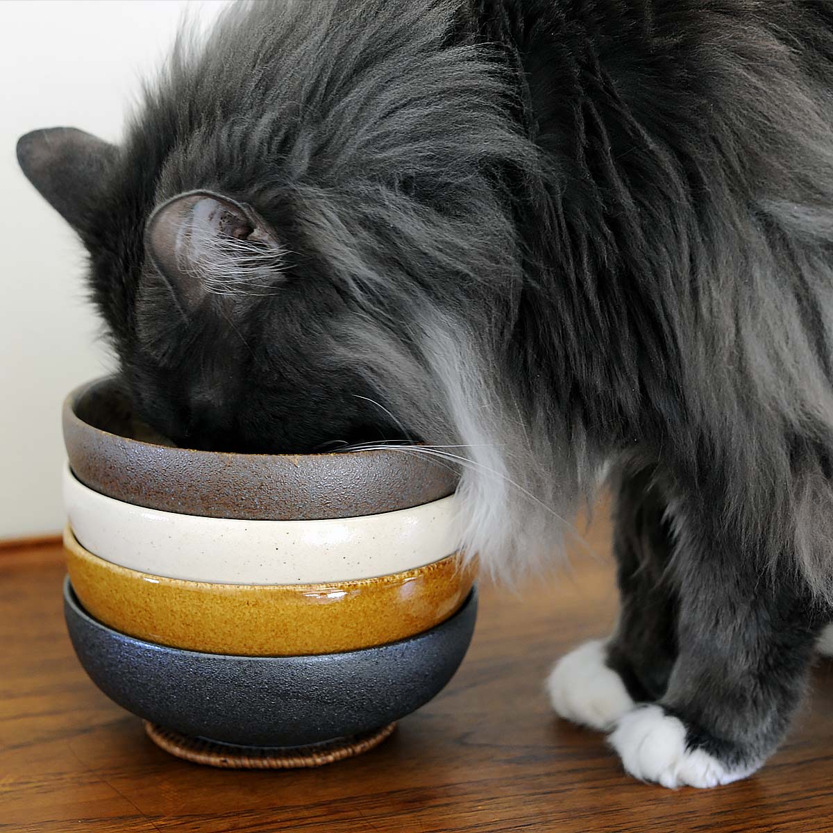 Kuriēto Round Ginrin Ceramic Cat Bowl, Made In Japan | at Made Moggie