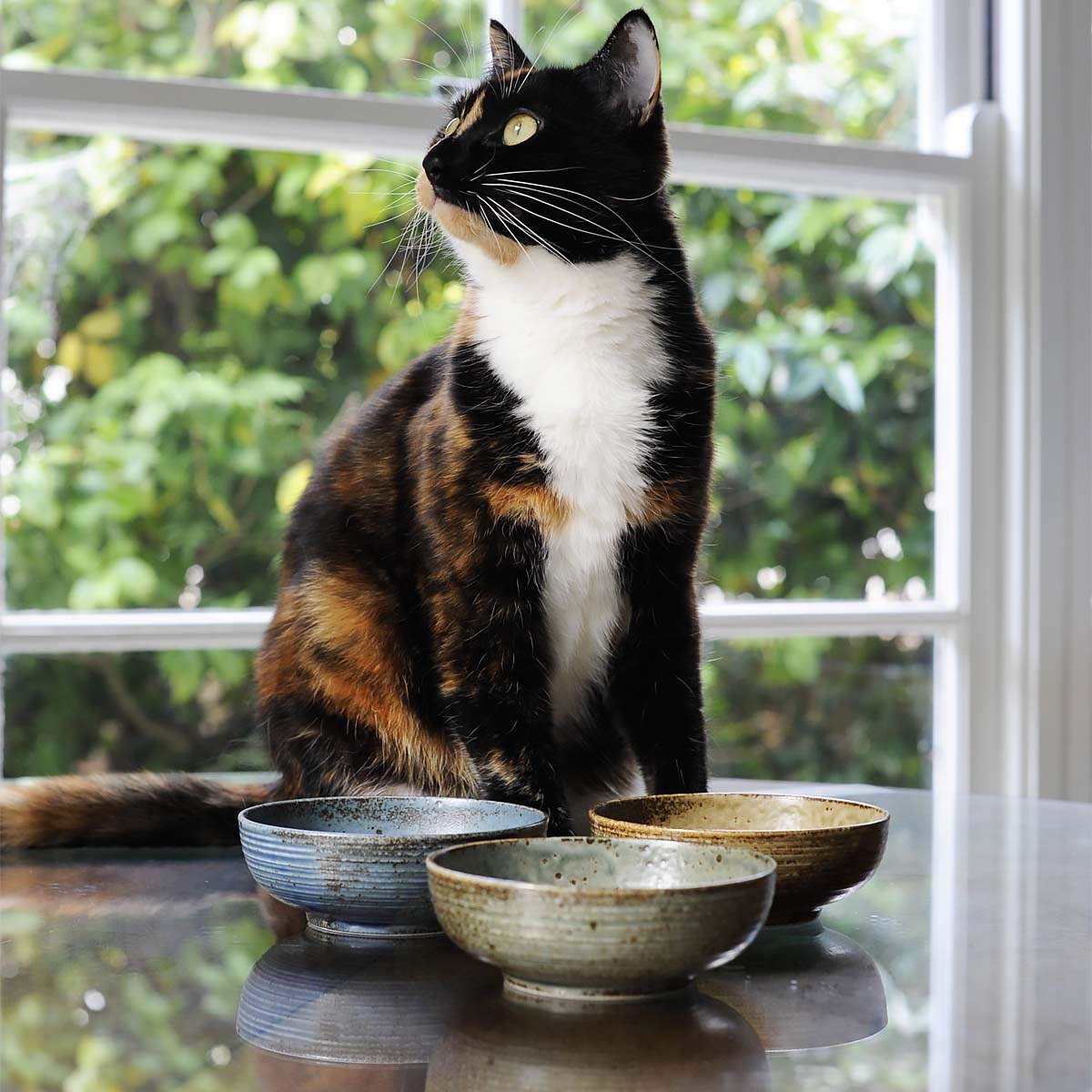 Kuriēto Round Wabi Ceramic Cat Bowl, Handmade In Japan | at Made Moggie