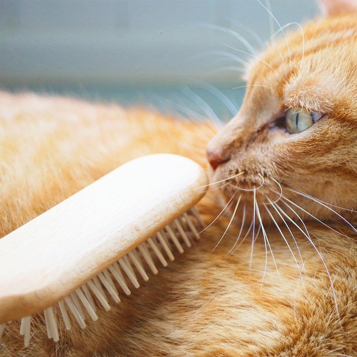 Iris Hantverk Wood Pin Cat Brush | at Made Moggie