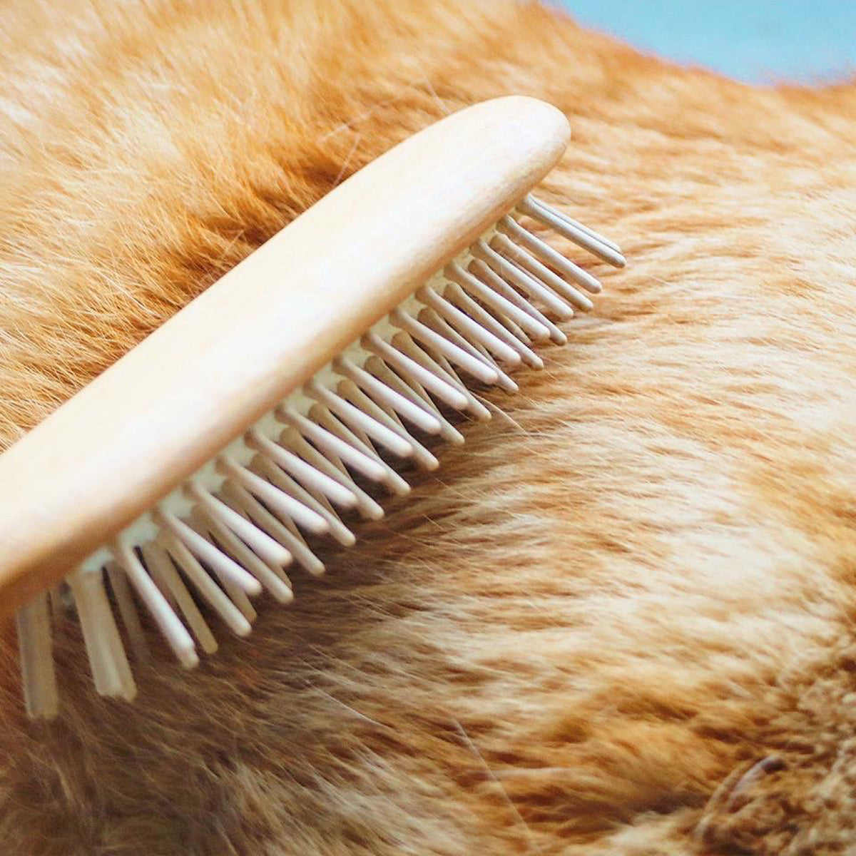 Iris Hantverk Wood Brush For Grooming Cats | at Made Moggie