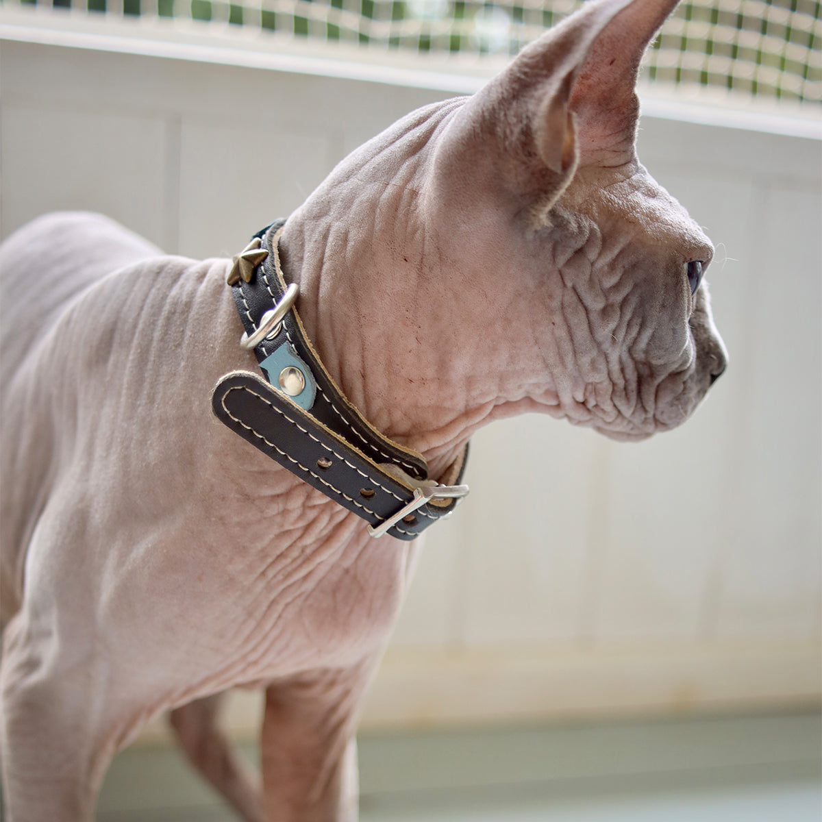 Superpipapo Black Leather Cat Collar, With Studs, Stars, Stones & Blue Fish-Shaped Patches | at Made Moggie