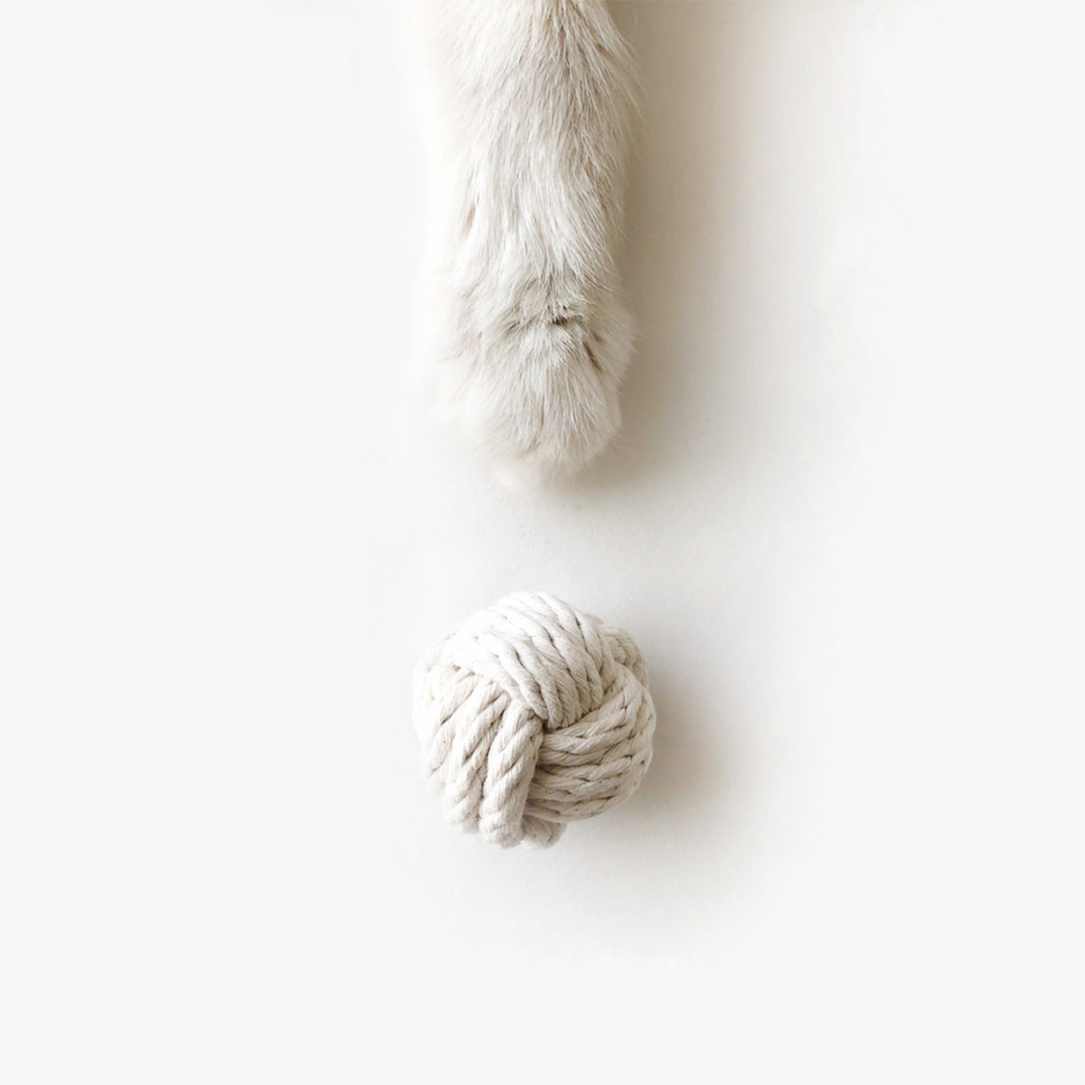Siamese Social Club Cork Ball Cat Toy, With Cotton Knots | at Made Moggie