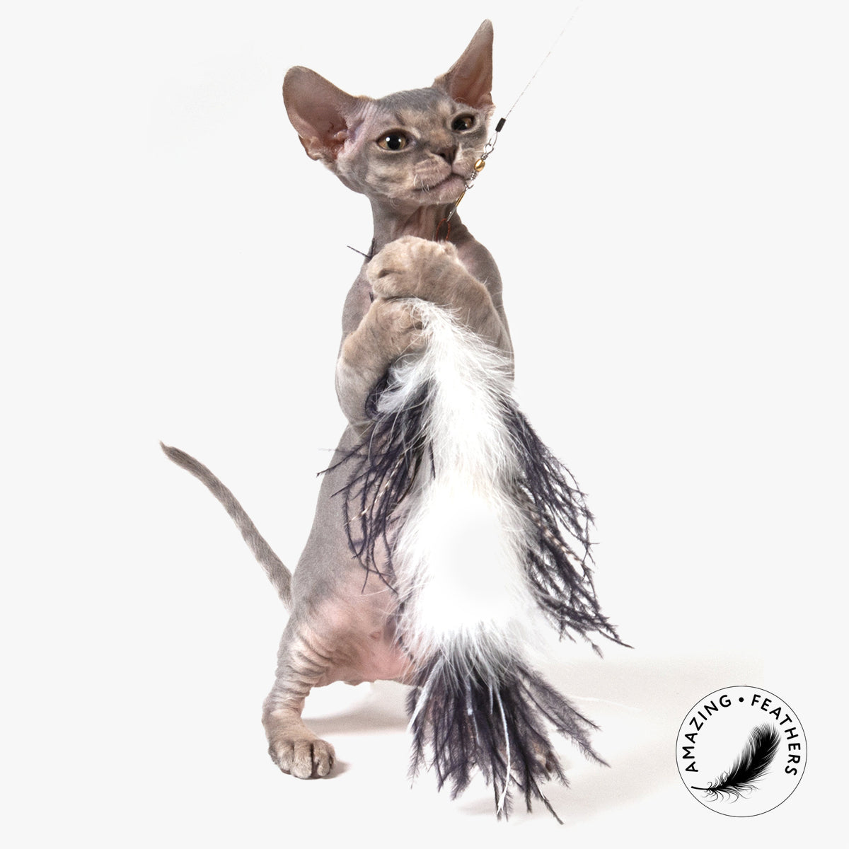 Profeline Ostrich Refill Feather Cat Toy, In Large Size | at Made Moggie