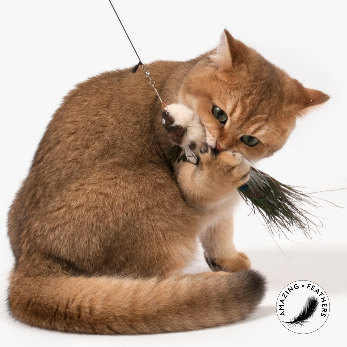 Profeline Paradise Cat Toy, Fish Handmade With Feathers & Wool | at Made Moggie
