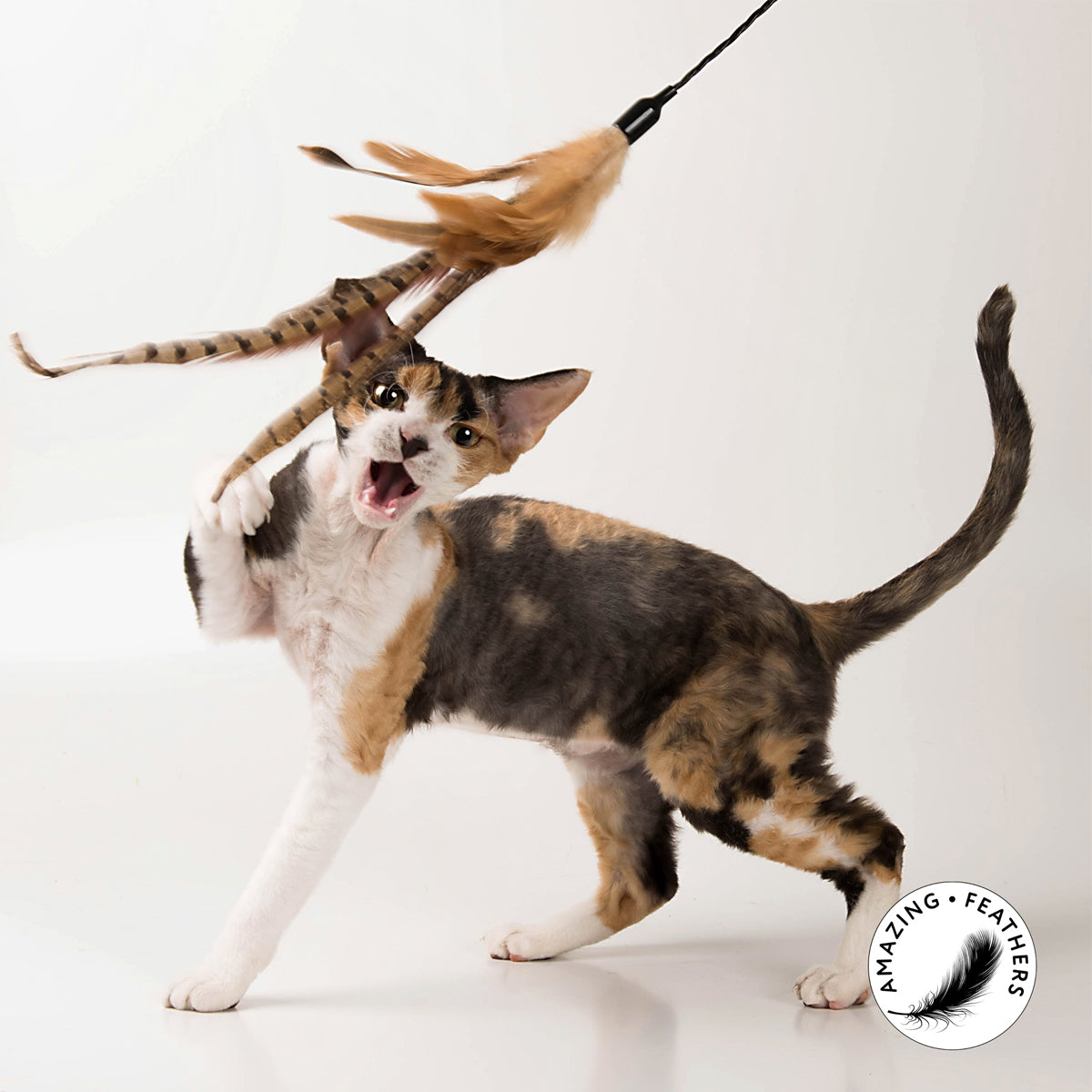 Profeline Teaser Hunting WIld, Cat Feather Wand Toy | at Made Moggie