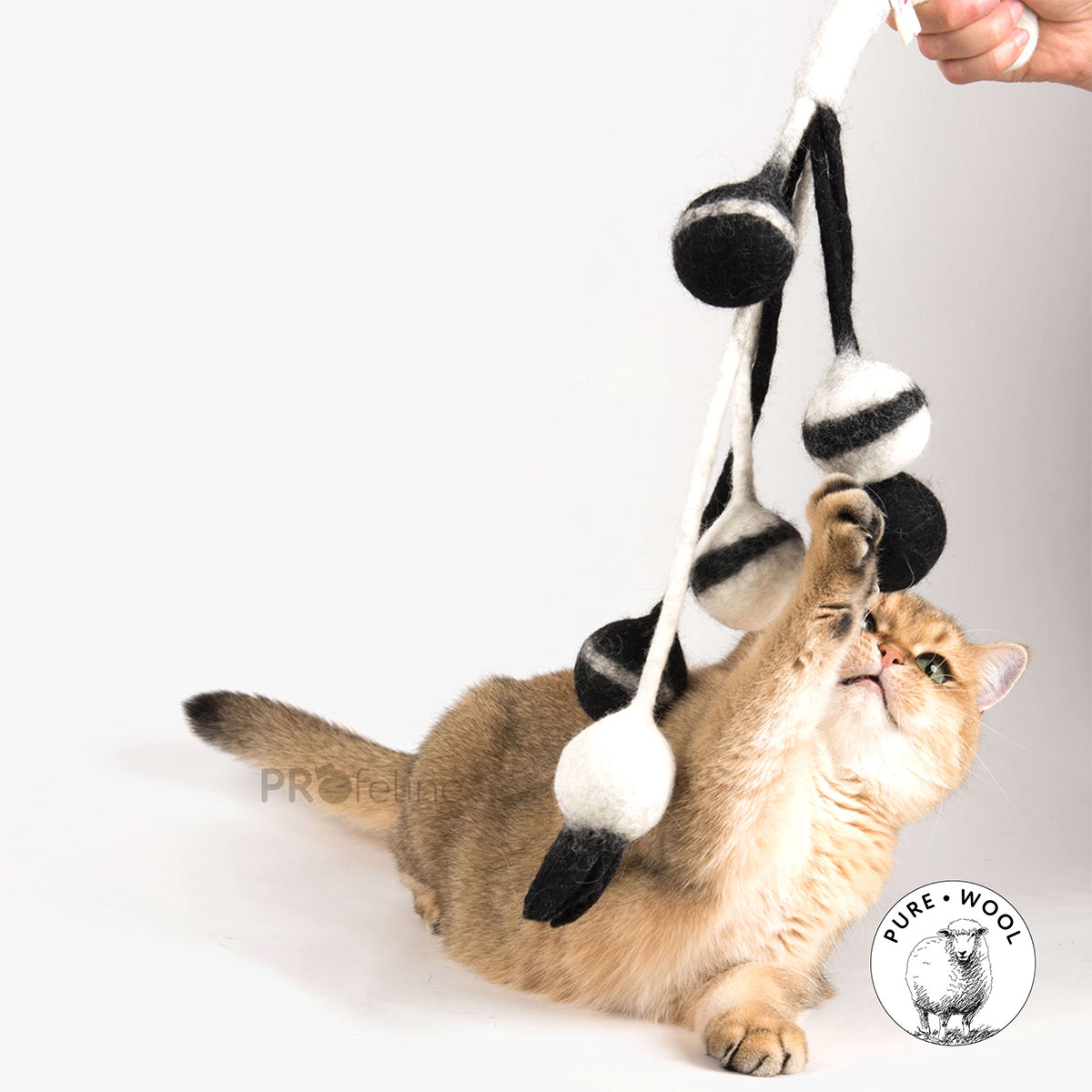 Profeline Felted Catcher, Large Wool Cat Toy With Balls & Rattle, In Black & White | at Made Moggie