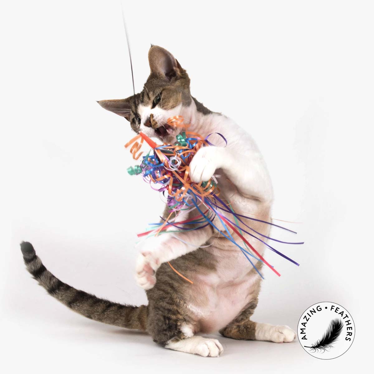 Profeline Fringe Cat Toy, With Bundle Of Fluttery Ribbons | at Made Moggie