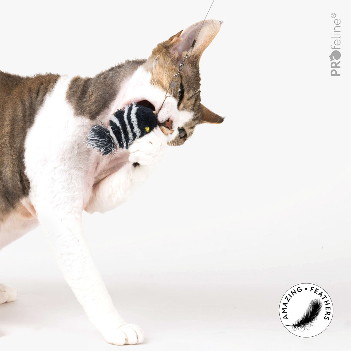 Profeline Striped Fish Cat Toy | at Made Moggie