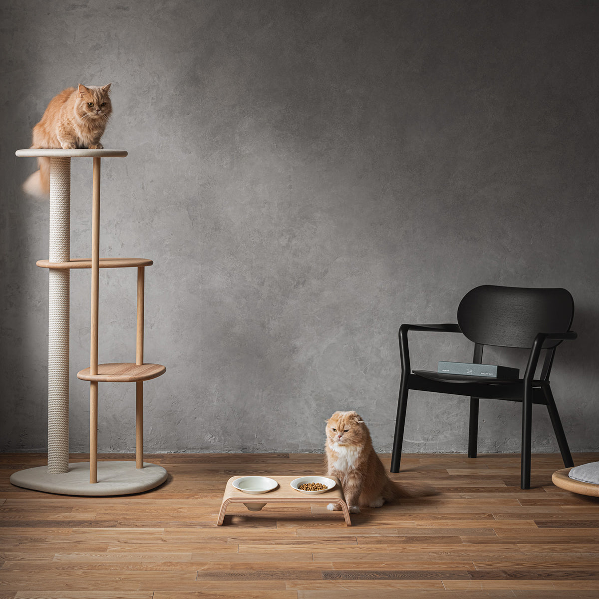Karimoku Cat Luxury Furniture Set, In Solid Oak Wood | at Made Moggie