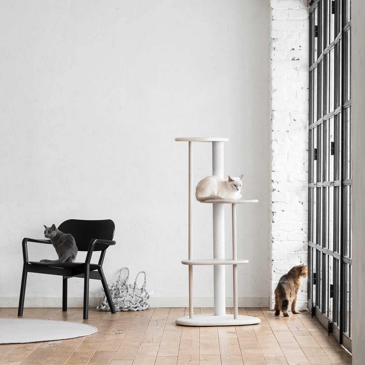 Karimoku Cat Wooden Cat Tree, In All White, Modern Style | at Made Moggie
