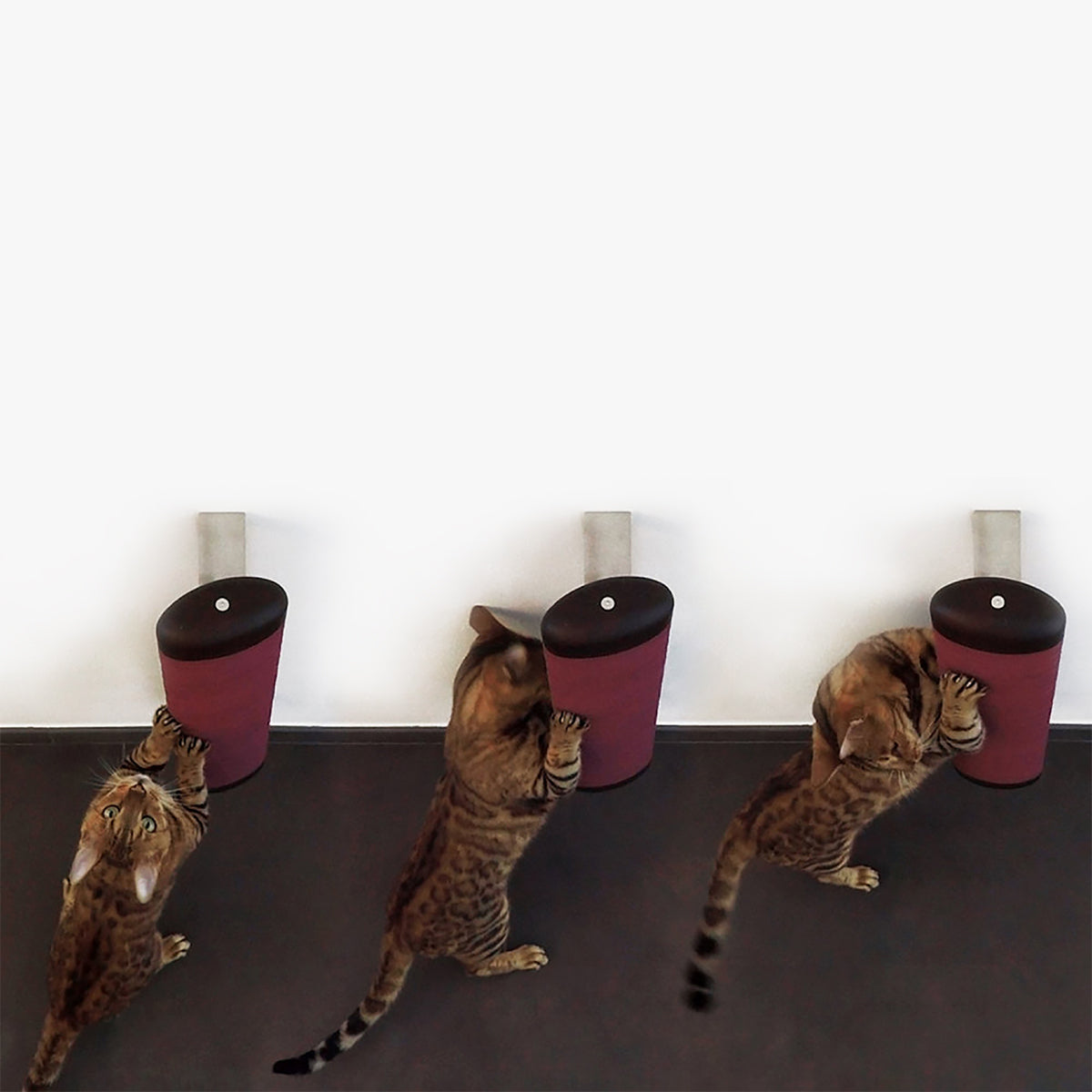 Brandodesign Fuso, Cat Scratching Post For Wall | at Made Moggie