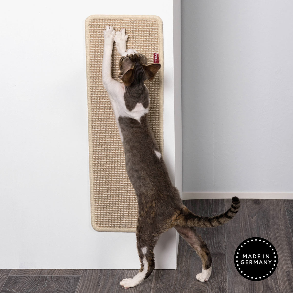 Cat scratch pad for wall best sale