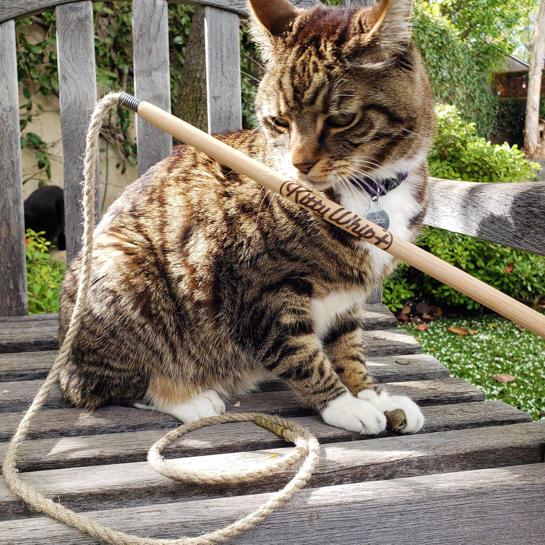 KittyWhip Hemp Cat Teaser, Toy For Indoor Cats | at Made Moggie
