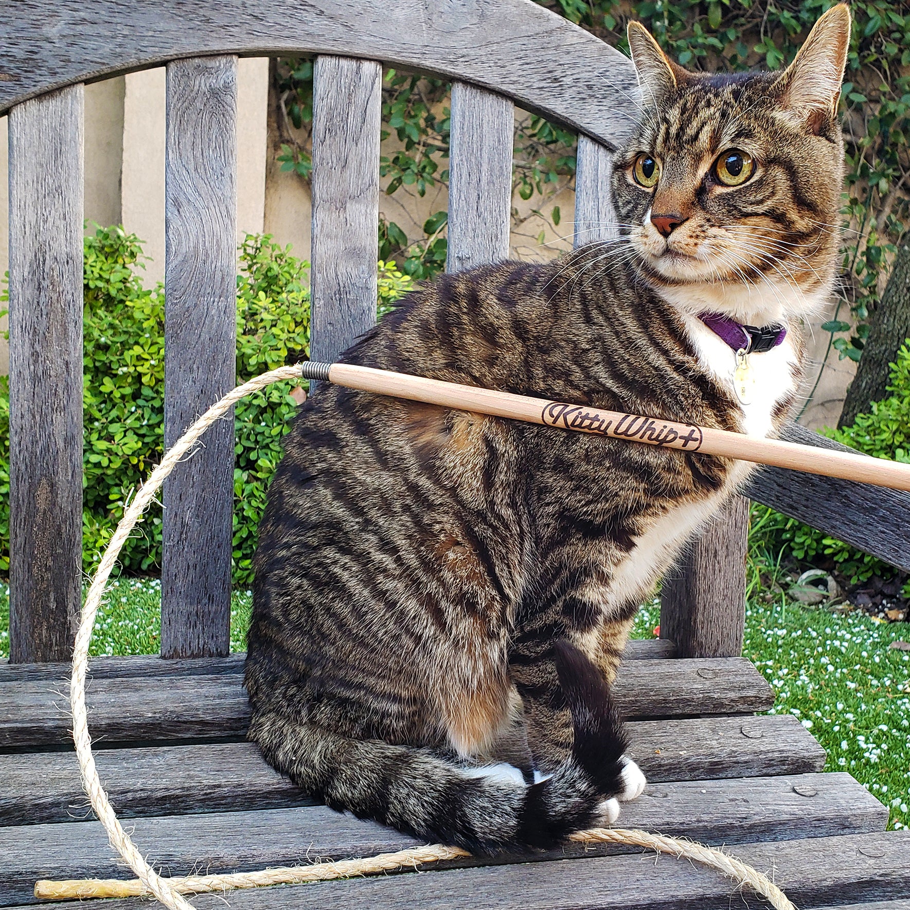 KittyWhip+ Cat String Toy, Handmade With Wood & Sisal Rope | at Made Moggie