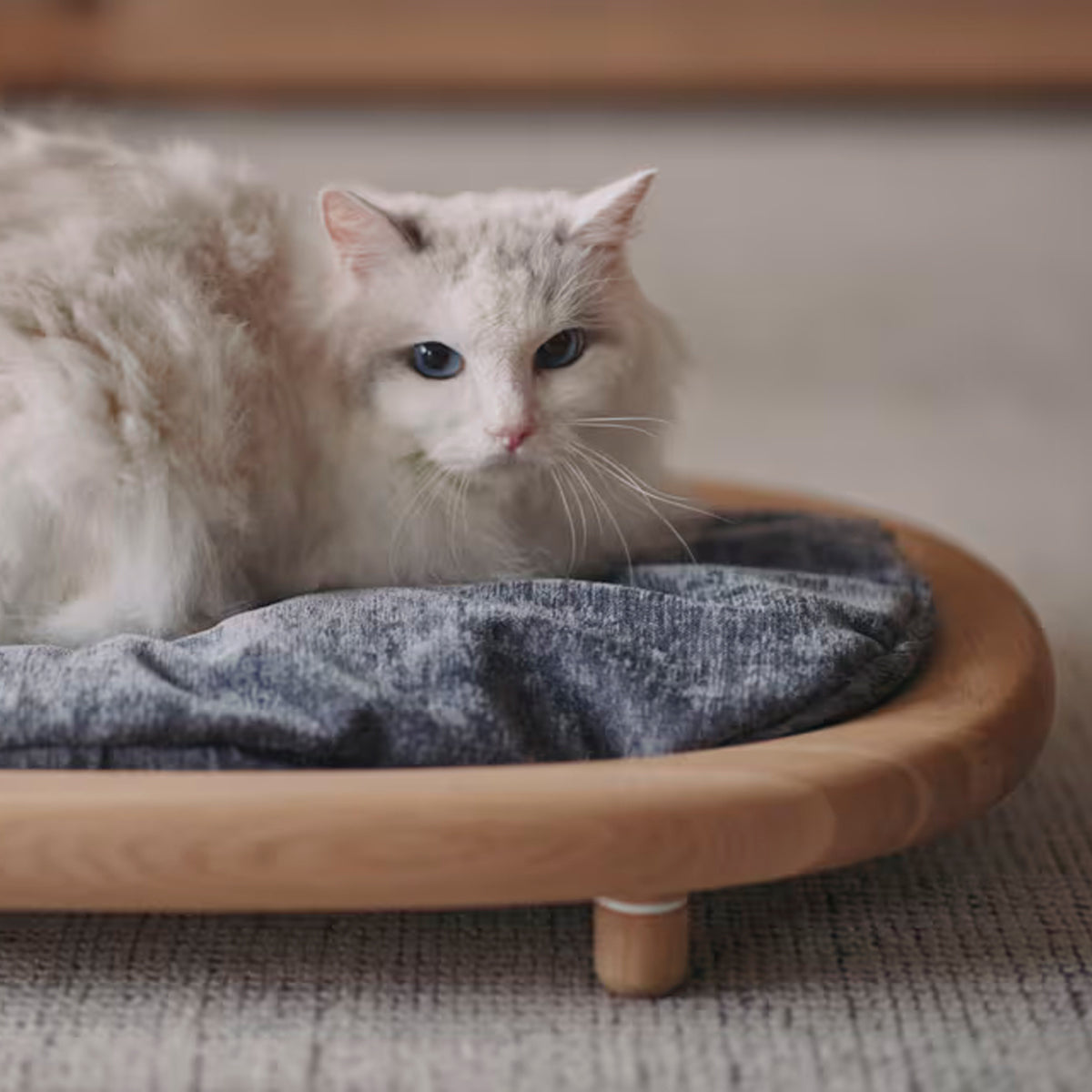 Karimoku Cat Luxury Cat Bed, With Solid Wood Frame & Dark Grey Cushion | at Made Moggie