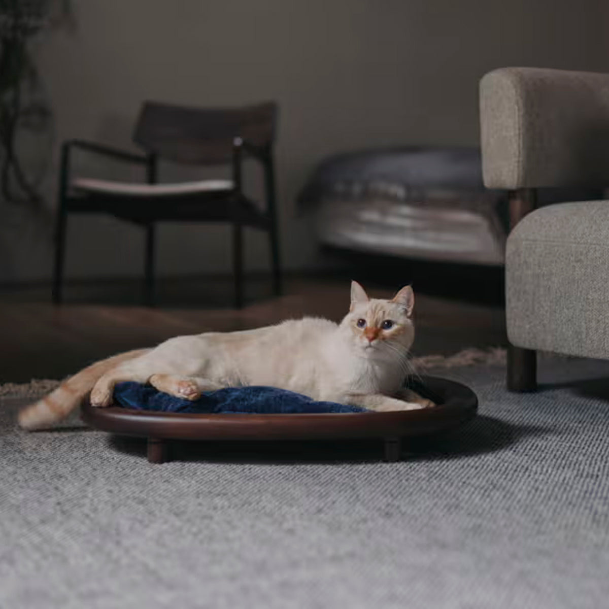 Karimoku Cat Luxury Wooden Raised Cat Bed: Ultimate Sleeping Comfort