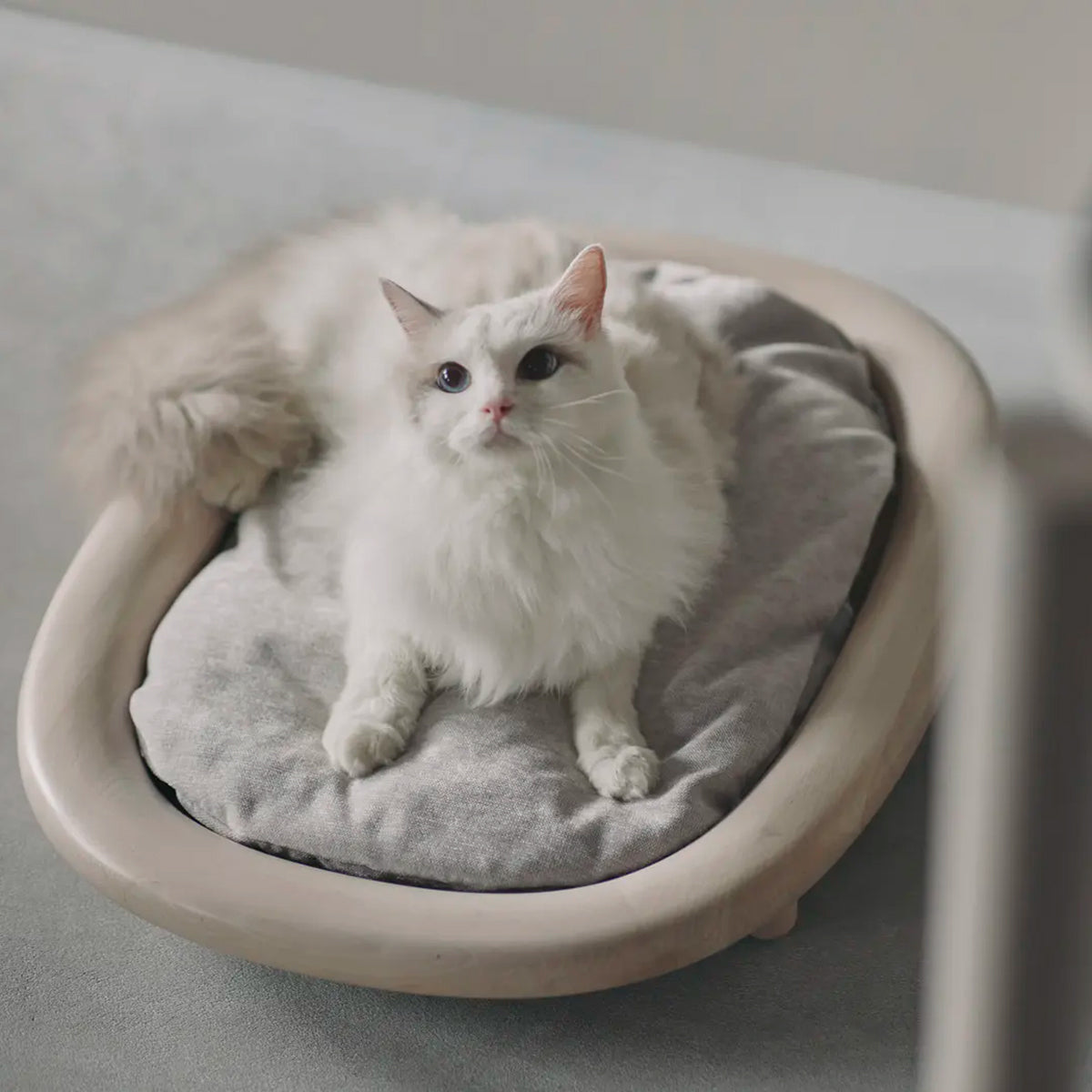 Karimoku Cat Wood Cat Bed, With Raised Base & White Plush Cushion | at Made Moggie