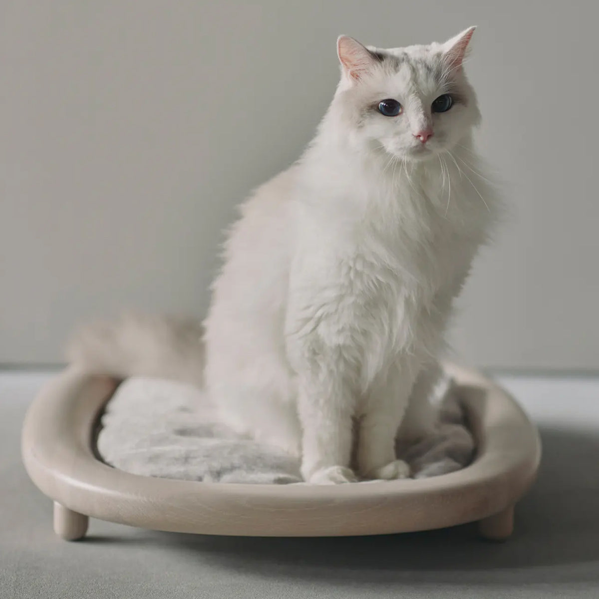 Karimoku Cat Wood Cat Bed, With Raised Base & White Plush Cushion | at Made Moggie