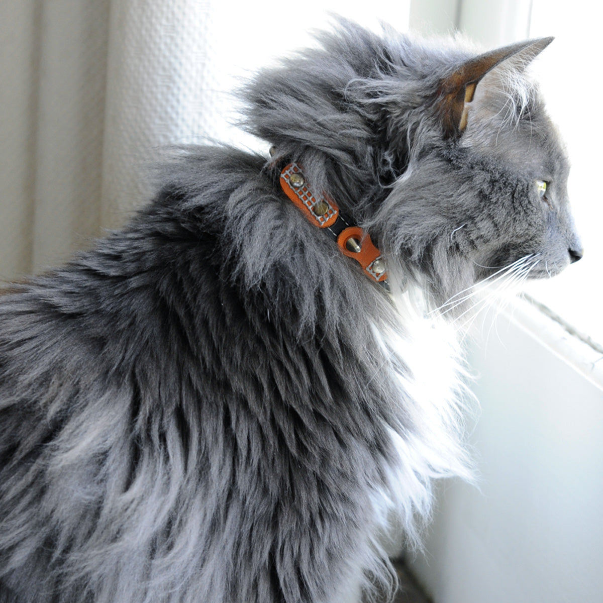 Superpipapo Luxury Leather Cat Collar, In Black With Studs, Spikes & Retro Orange Patches | at Made Moggie