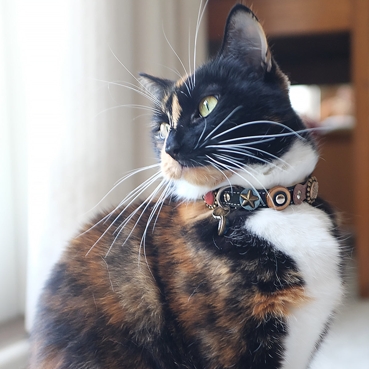 Natural sales cat collar