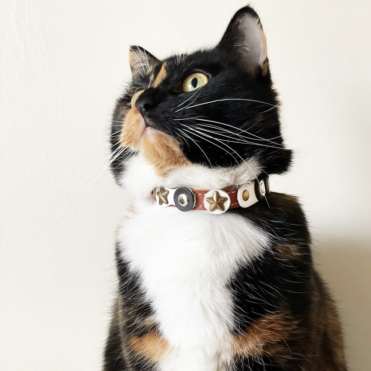 Superpipapo Luxury Leather Cat Collar, With Stars, Studs, & Black & White Patches | at Made Moggie