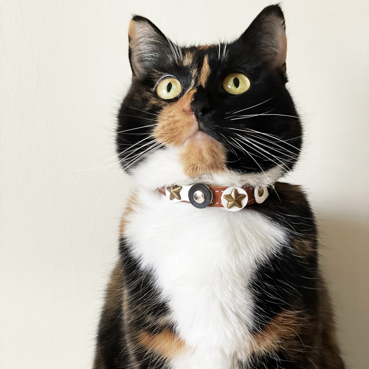 Superpipapo Leather Cat Collar, With Stars, Studs, & Black & White Leather Patches | at Made Moggie