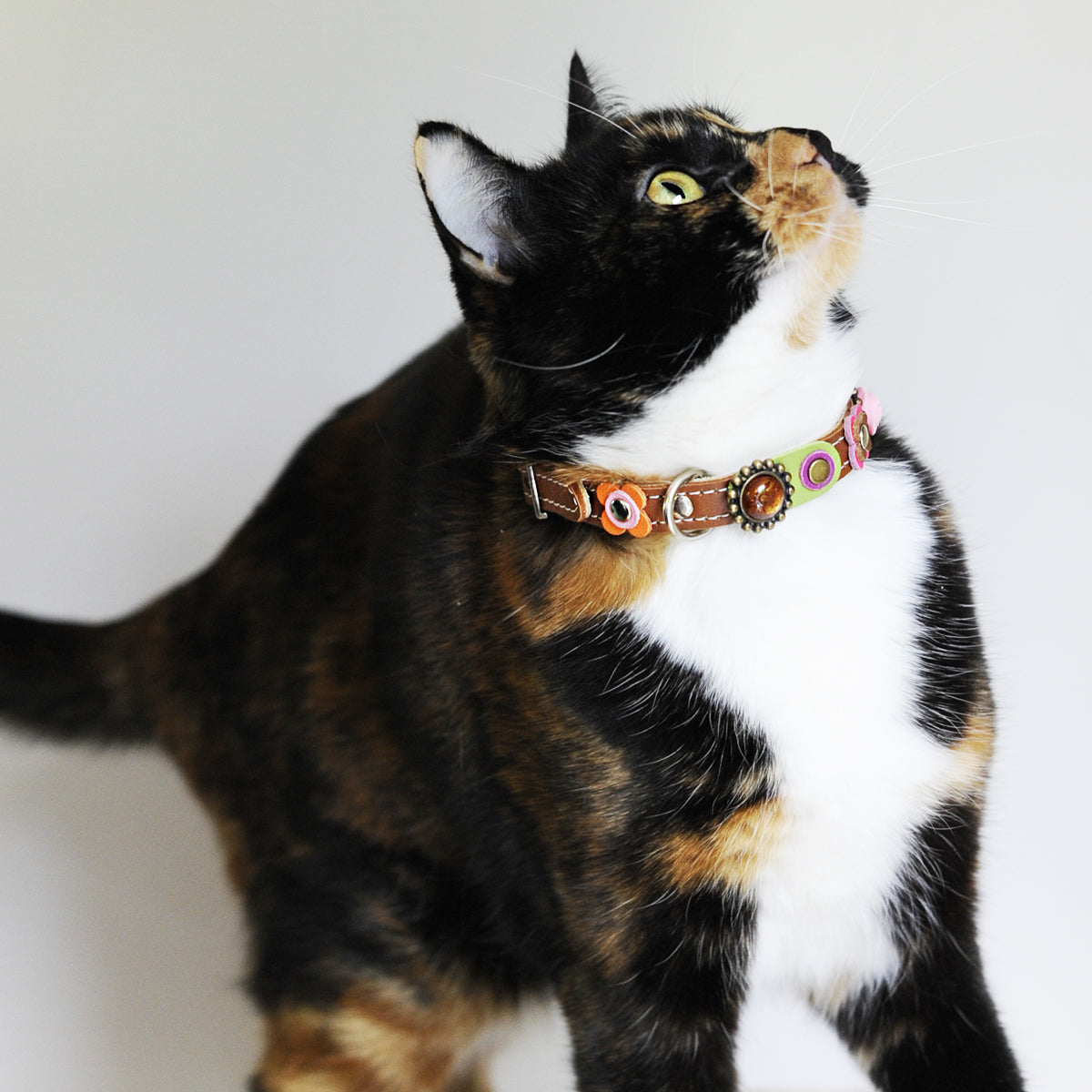 Superpipapo Boho Leather Cat Collar, In Brown With Stones, 3D Roses, & Flower Patches | at Made Moggie
