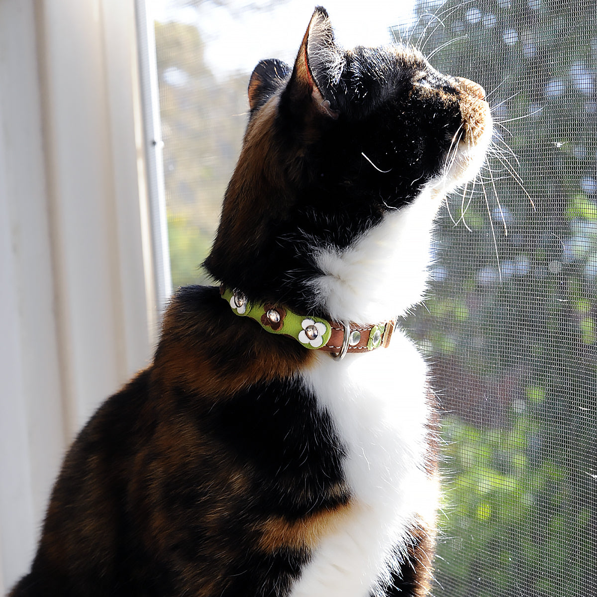 Superpipapo Luxury Leather Cat Collar, In Green & Brown With Studs, & Daisy Flower Patches | at Made Moggie