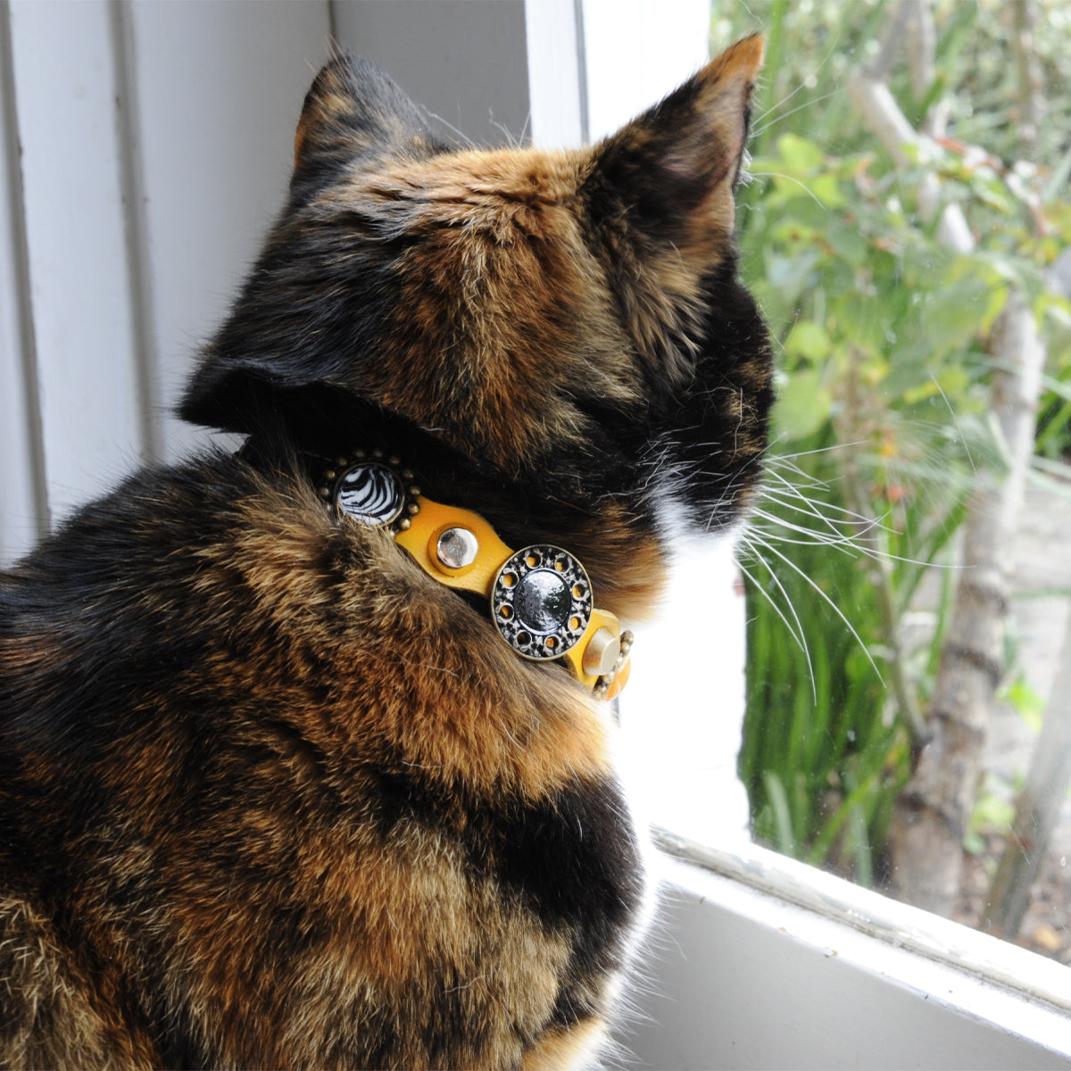Superpipapo Luxury Leather Cat Collar, In Black & Yellow With Studs, Spikes, Stones & Hand Painted Ornaments | at Made Moggie