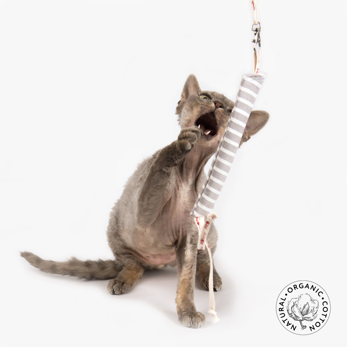 Profeline Catnip Candy Stick Cat Toy, With Stylish Striped Design & Cotton Ribbons | at Made Moggie