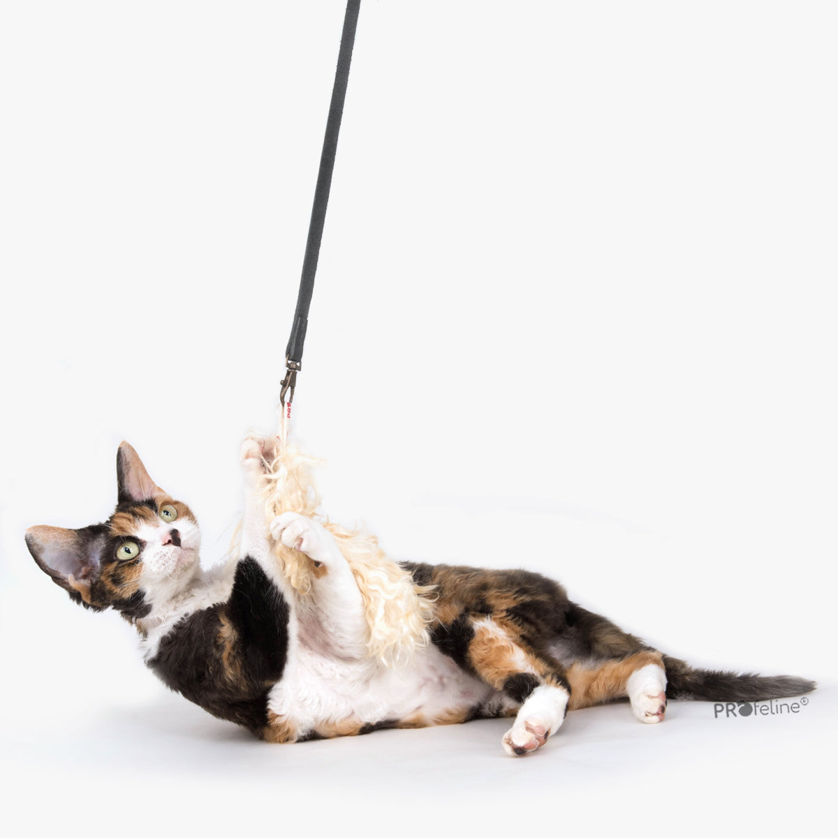 Profeline Curly Goat Fur Cat Toy, Attachment For Cat Wands | at Made Moggie