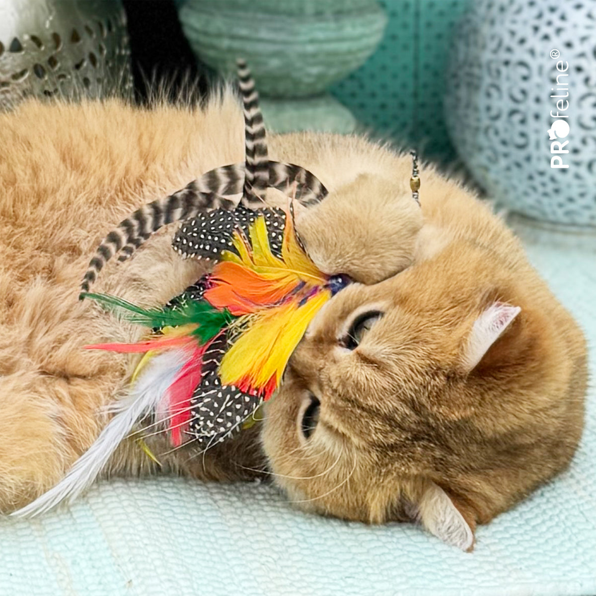 Profeline Papillon Brazil Refill, Butterfly Cat Toy | at Made Moggie