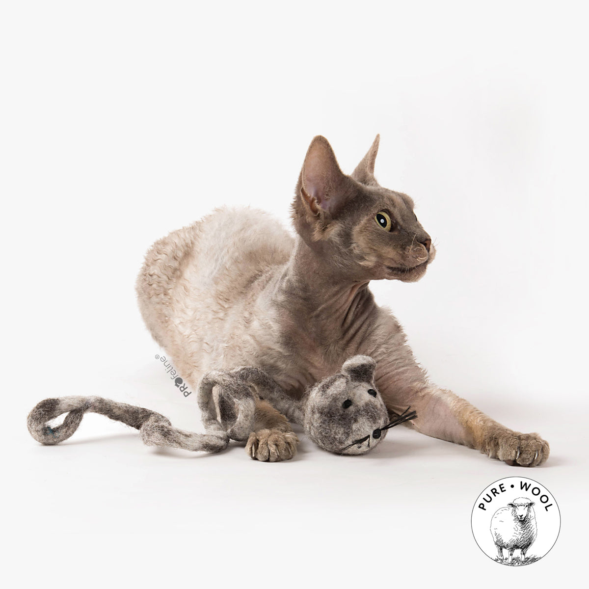 Woolly Rattus: Hand-Felted Wool Mouse Cat Toy with Finger Loop