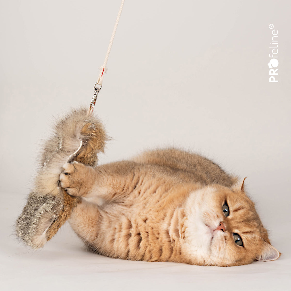 Profeline Fox Fur Refill, Cat Toy Attachment For Cat Wands | at Made Moggie
