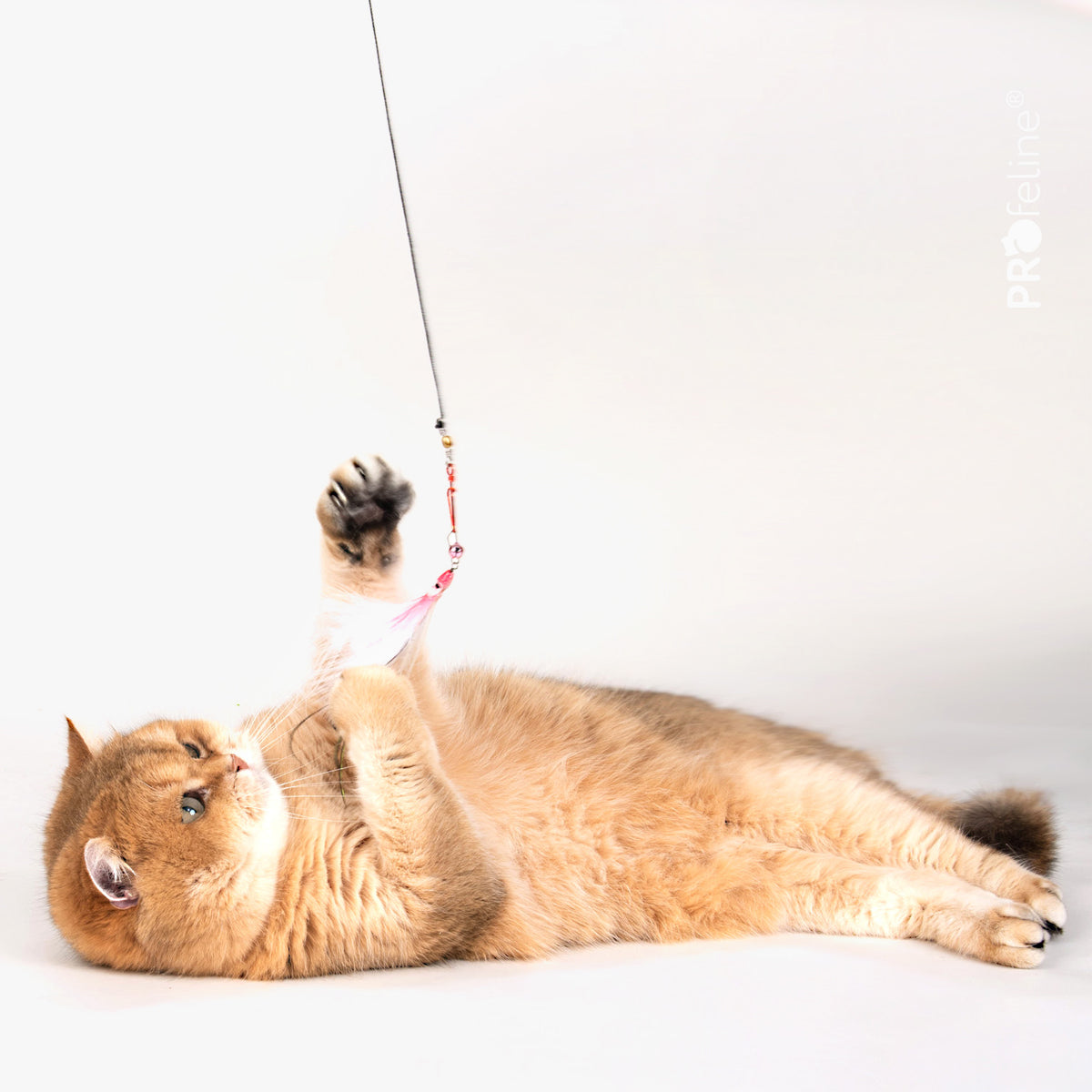 Profeline Glowing Octopus 2er Pack Refill, Feather Cat Toy Set | at Made Moggie