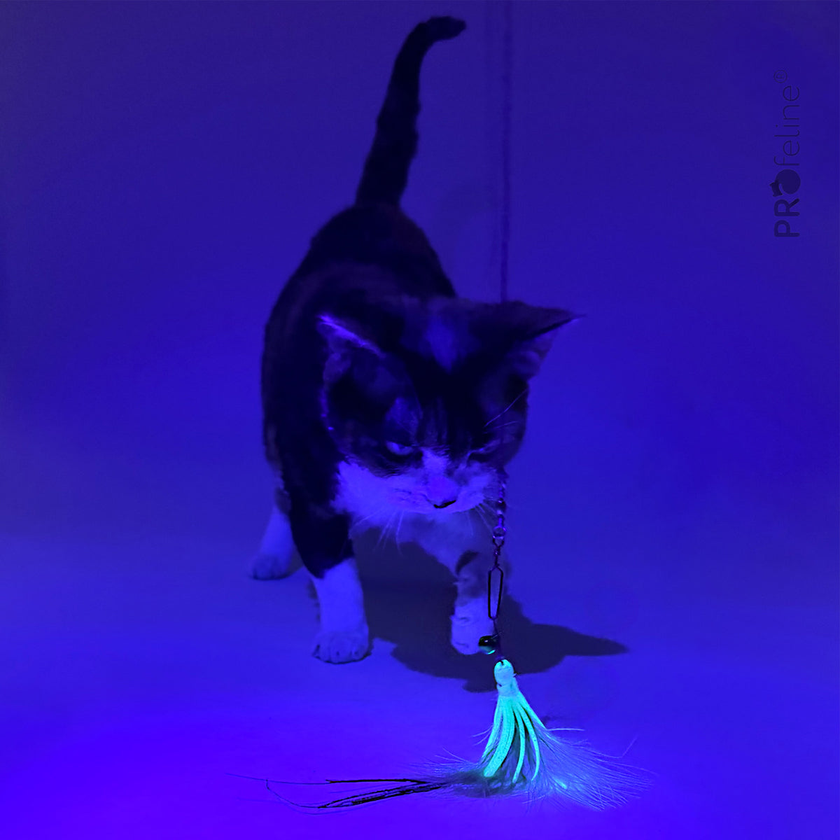 Profeline Glowing Octopus 2er Pack Refill, Feather Cat Toy Set | at Made Moggie