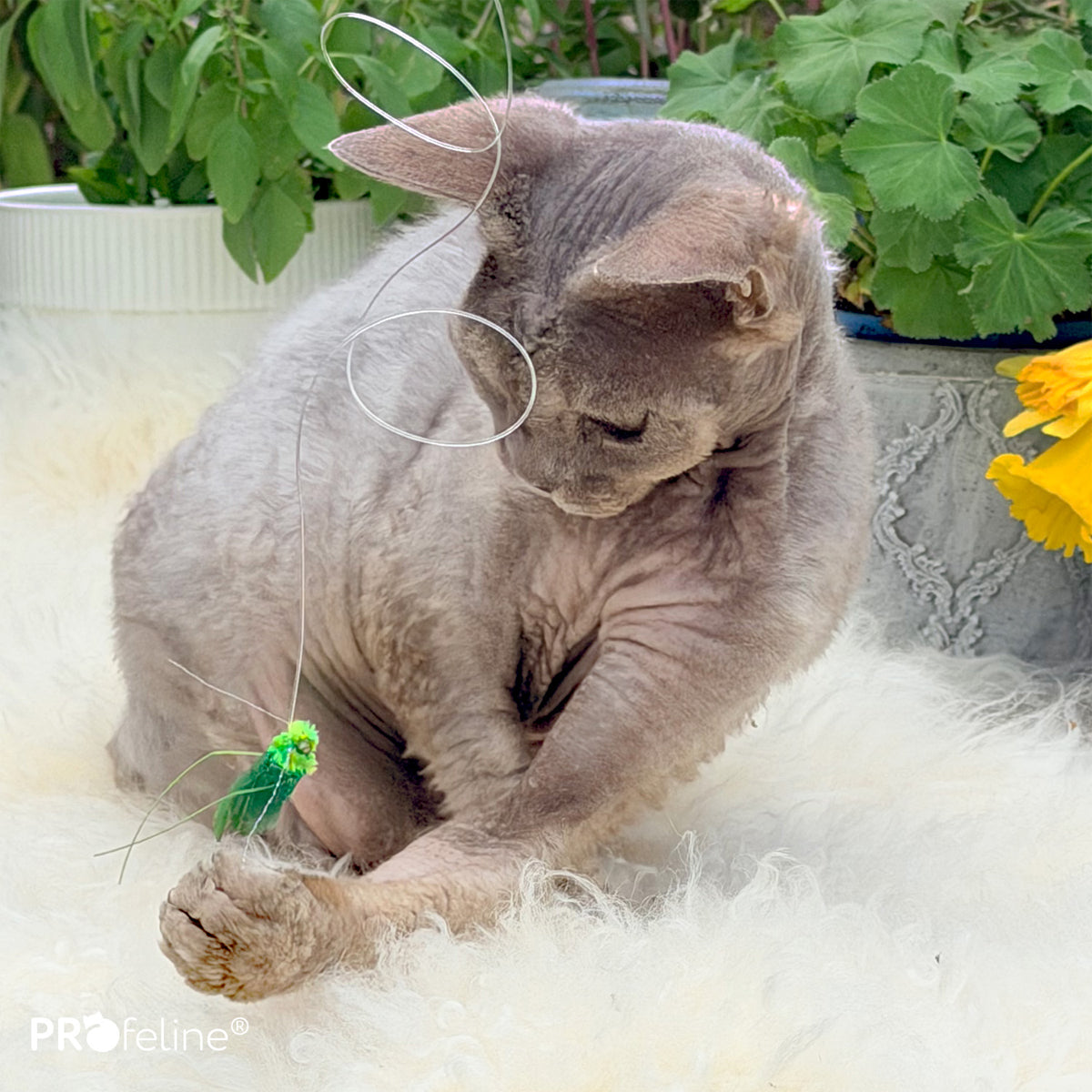 Profeline Green Creature Refills, Cat Toy Set for Wands | at Made Moggie