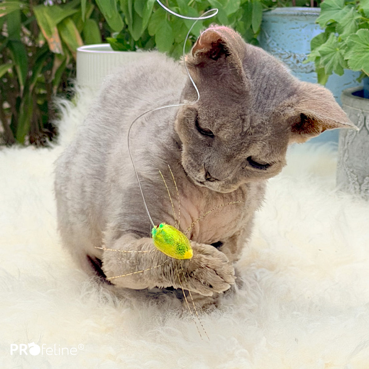 Profeline Green Creature Refills, Cat Toy Set for Wands | at Made Moggie