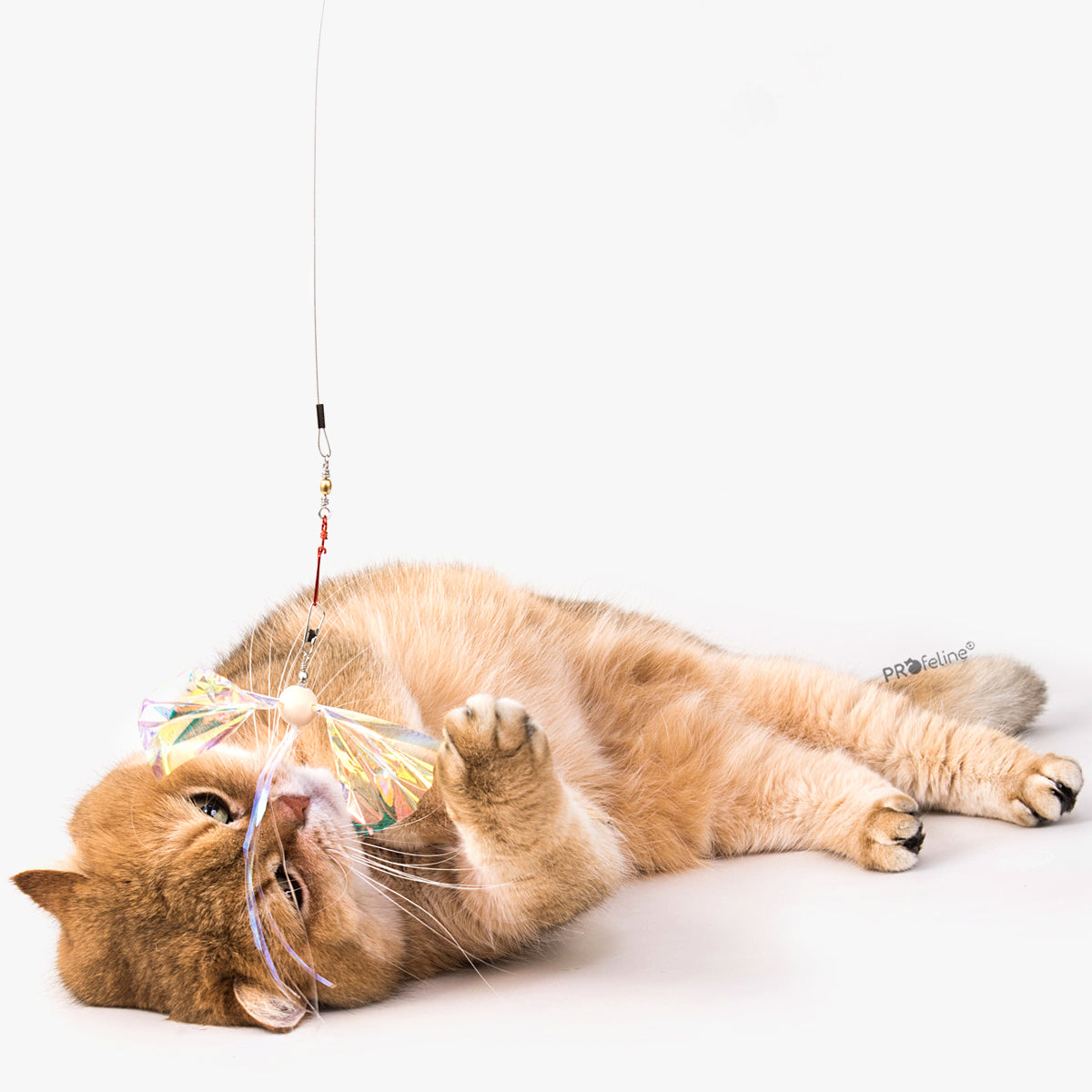 Interactive cat toys australia best sale